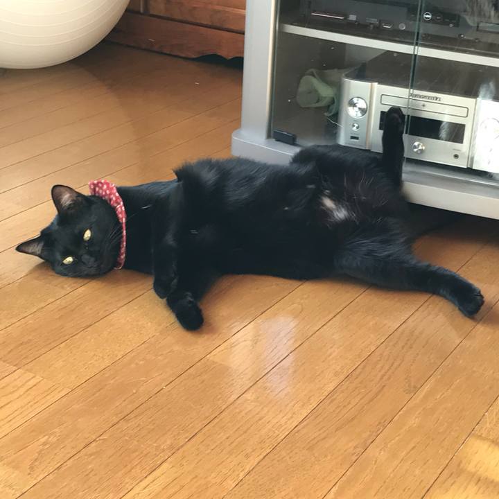 A3ed8aa8 a971 4fd9 900e e6625cc74e66 1604795013046