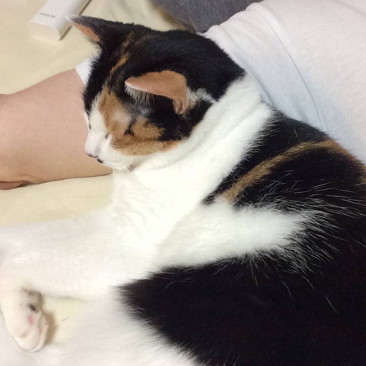 A3ed99f7 1e8c 450f 9d61 25e791bd7cd0 1593783609444