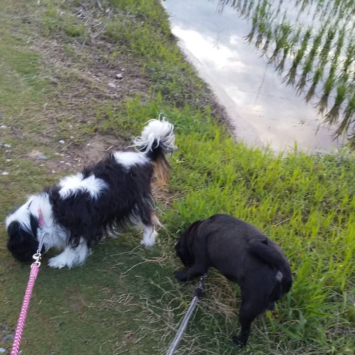 A3edac0a 9600 497d bf45 02dd46ea380b 1560264838771