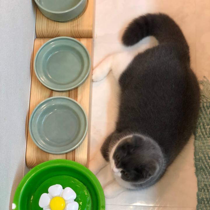 A3edb434 a31b 41cd 8487 117f8eaed397 1517704413283