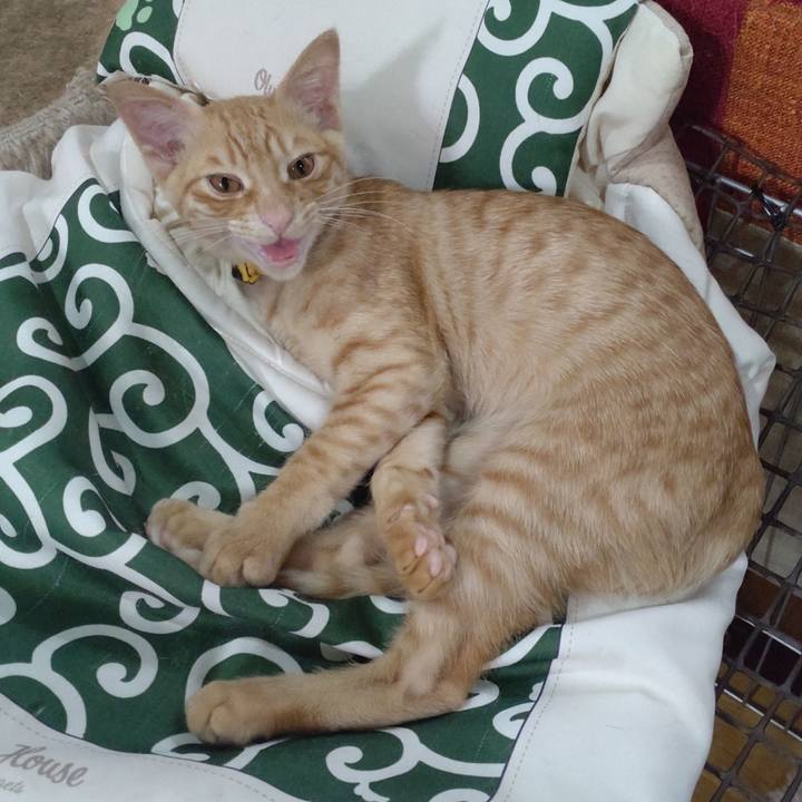 A3edc204 d854 41a9 ba4f f226c921138f 1673577688478