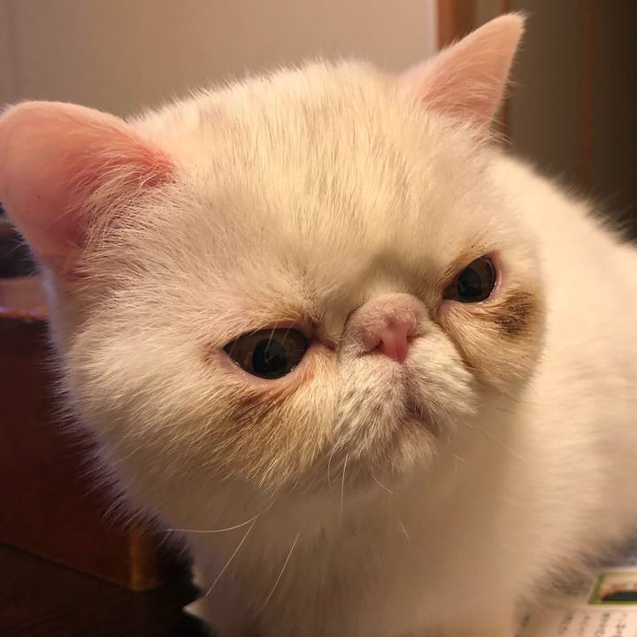 A3edc9b4 221d 4a98 9cd2 a725d77c1054 1555510270058