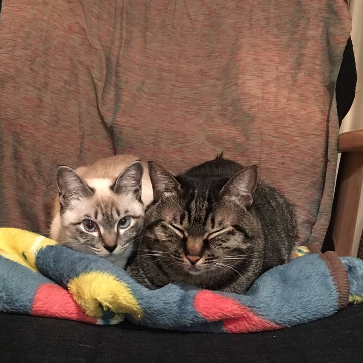 A3edd627 d9de 4130 bfec 51112c804f01 1547630424982