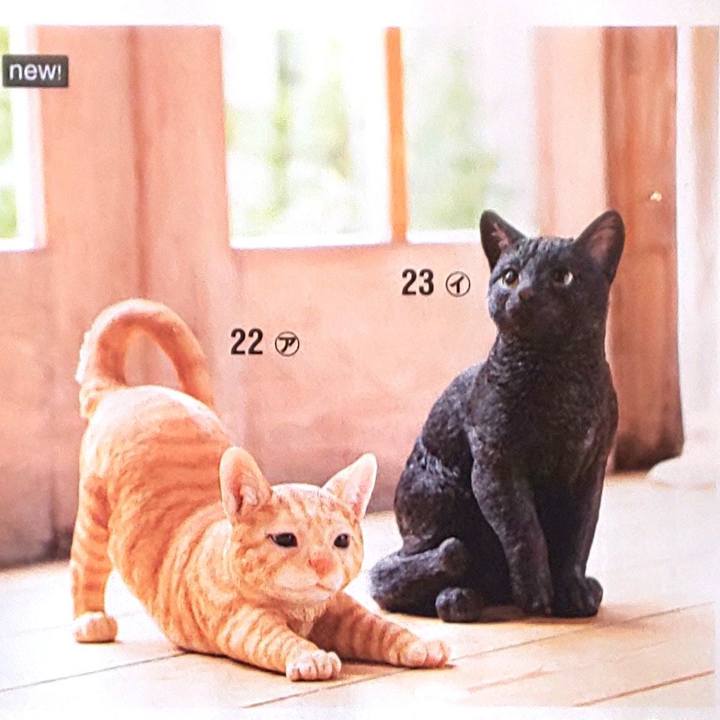 A3edd678 cf87 41b8 b639 bd866c40d415 1551844668045