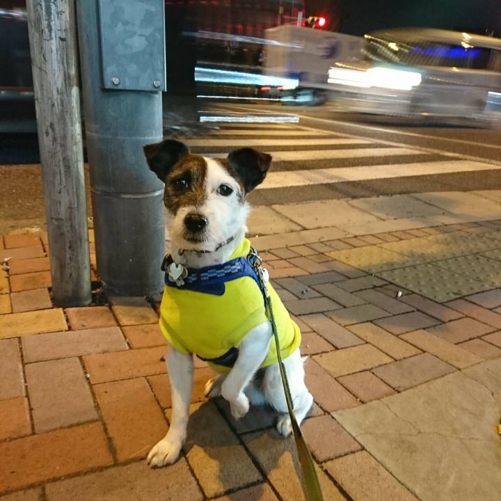 A3eddc4f 2979 44d9 b191 0439061536c8 1520078381653