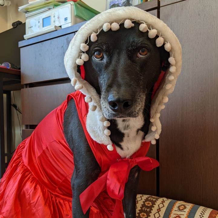 A3edeff8 4d85 4505 870b eb4d85be18a6 1703242608090