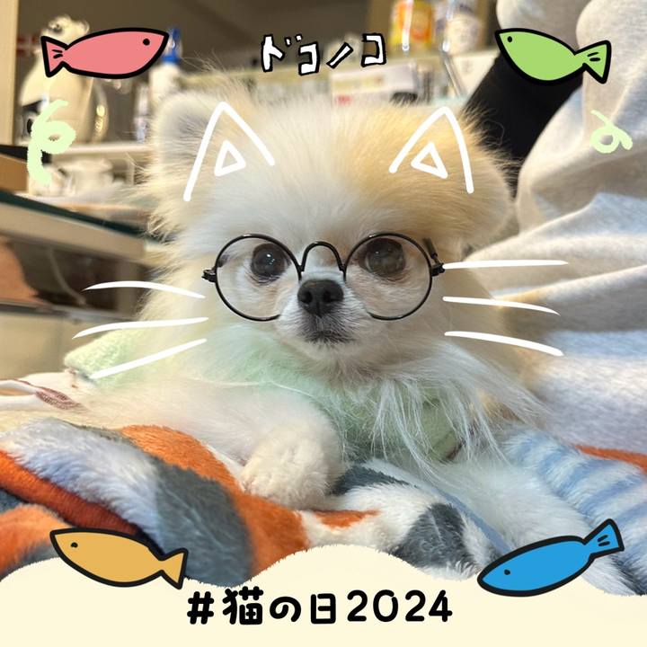 A3edf073 0a8f 4dc7 85ae 7b2691766da1 1708596319601