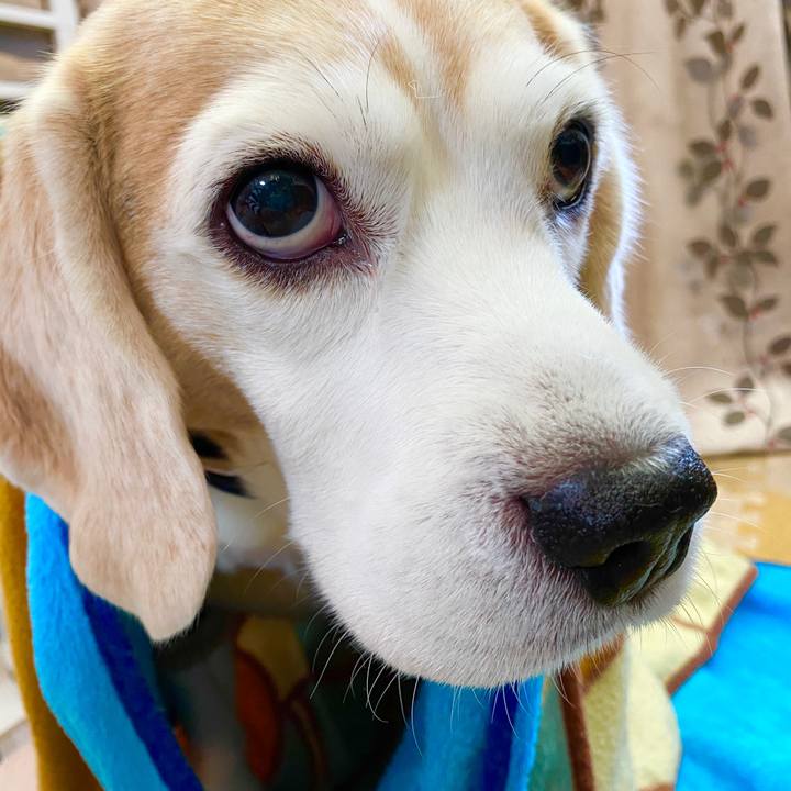 A3ee2896 e777 4547 9b06 86f1f4de2543 1579665050909