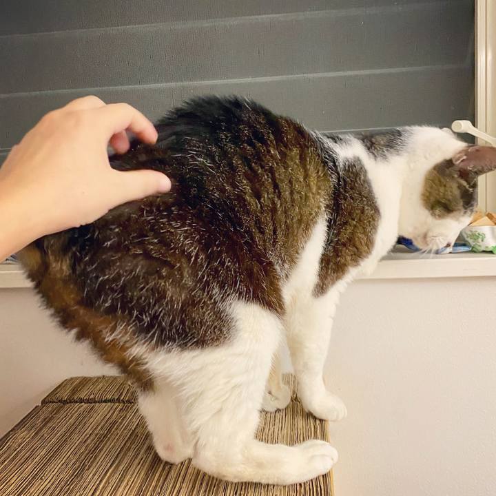 A3ee31ce 7998 4b19 bab8 33b2e7b95a67 1596807183918