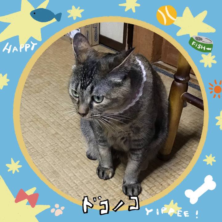 A3ee381a a1a3 4797 90cd d5f0371b5660 1720949005206