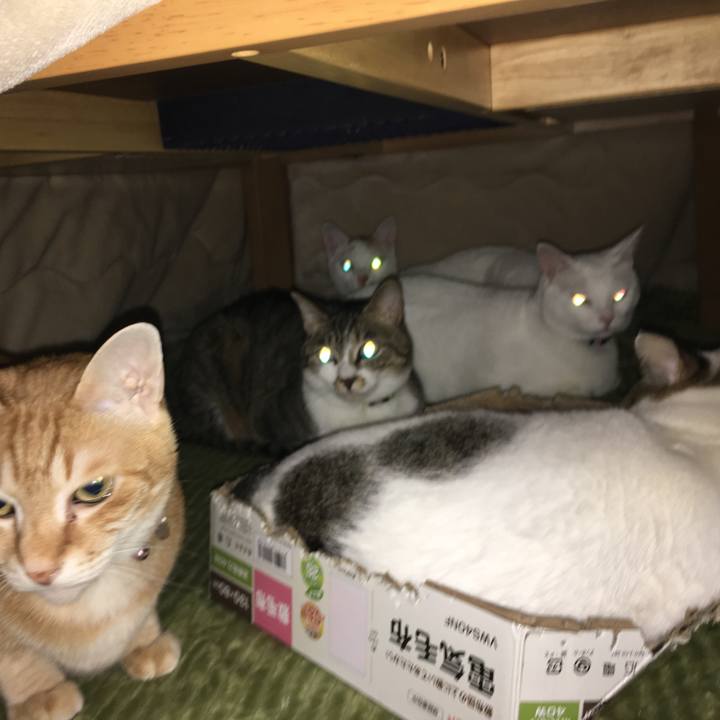 A3ee45f4 d2f4 4dde 937d e6d2b9d6fdbe 1548153536566