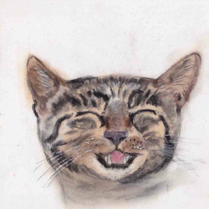 A3ee51f4 7d78 4474 880b b733e4500e62 1638530529374