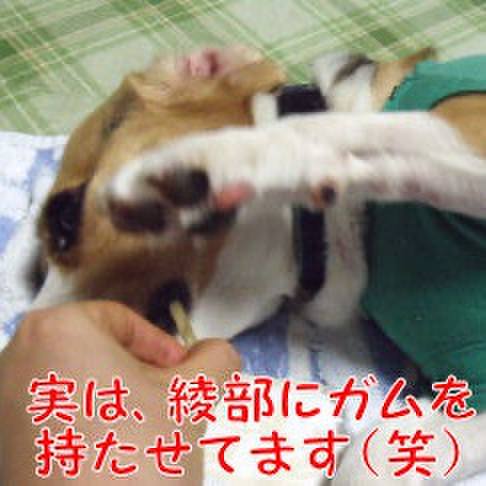 A3ee713c 50d8 43bd 9857 f10e0ac81799 1722977959898