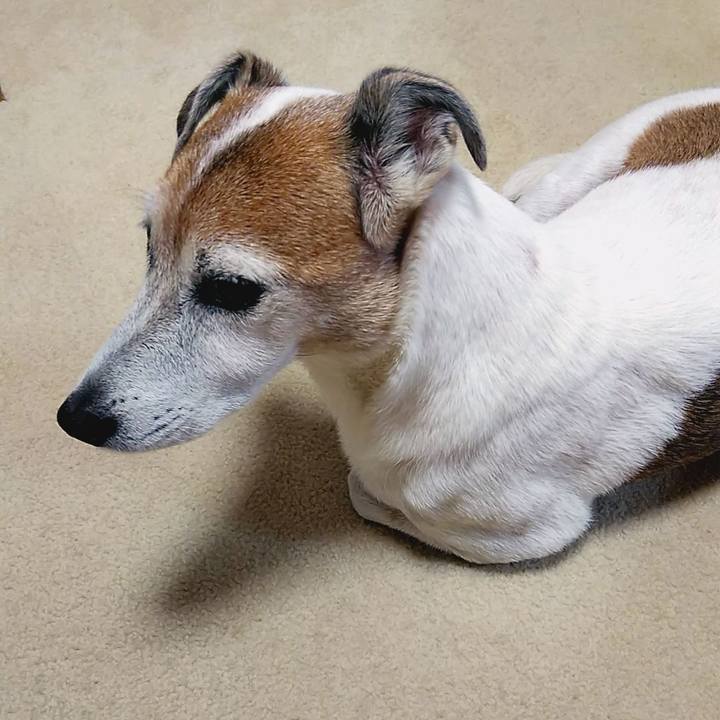 A3ee7564 a23e 46f6 83f1 590428c9ff40 1537173291009