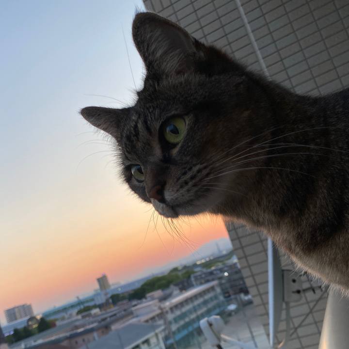 A3ee9089 af53 4af8 9370 664dc1ddb669 1651739198233