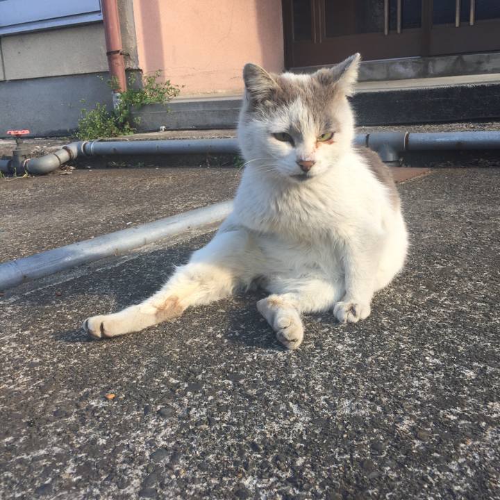 A3eecc93 11cc 4508 8dc3 61ef1371b4af 1549461662651