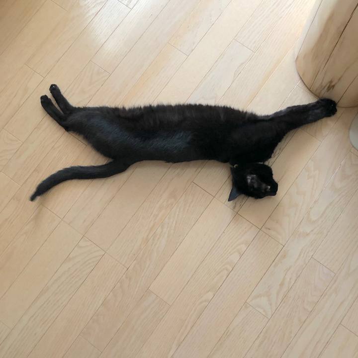 A3ef4491 91dc 4529 93d1 6441be431643 1557583871361