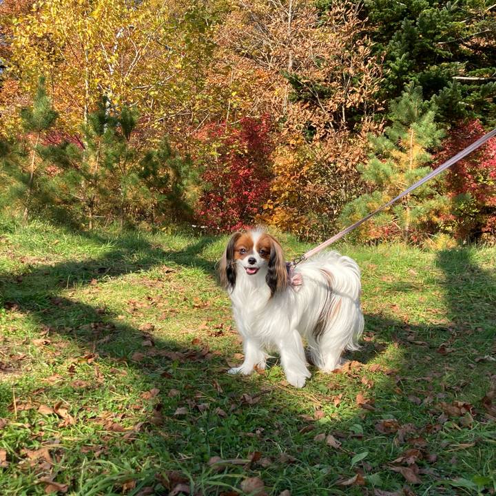 A3ef68ad 6d30 47dd 8bc3 c6217f188591 1635568960232