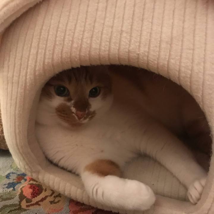 A3ef7a72 84a3 437e 8625 02074215b94b 1577610275453