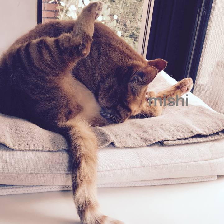 A3efa0df 7cbb 45c5 8c13 4ba80add1e62 1511926733765