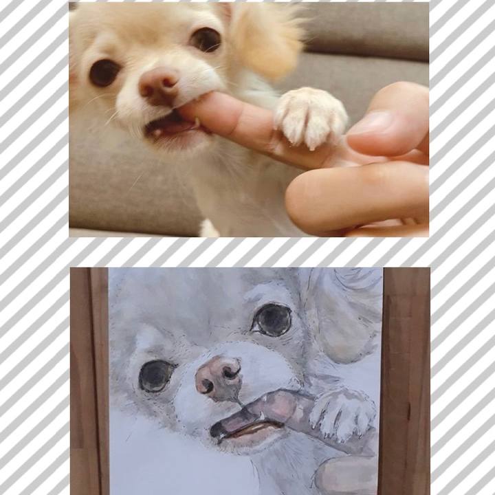 A3efaacf 9346 4d26 8cd2 08556b6c00af 1598595712430