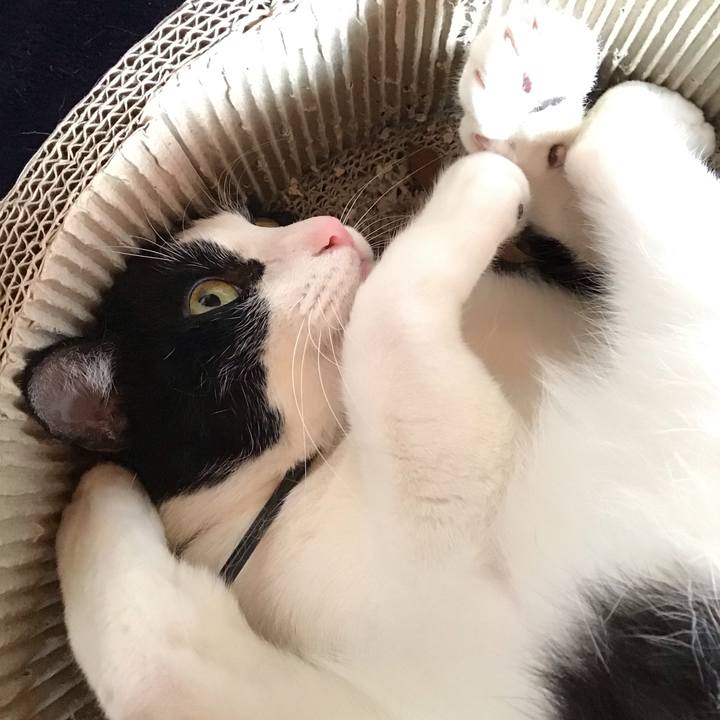 A3efb07a 8f70 4dce ae71 9057014a573e 1711845242552