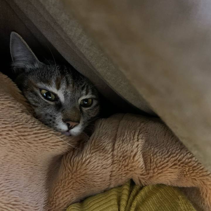 A3efb130 f2ea 4d7e b204 7d1250391014 1610175679336