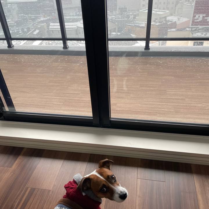 A3efca9d 7a17 4855 8b0d 8990110c7c7b 1642395320270