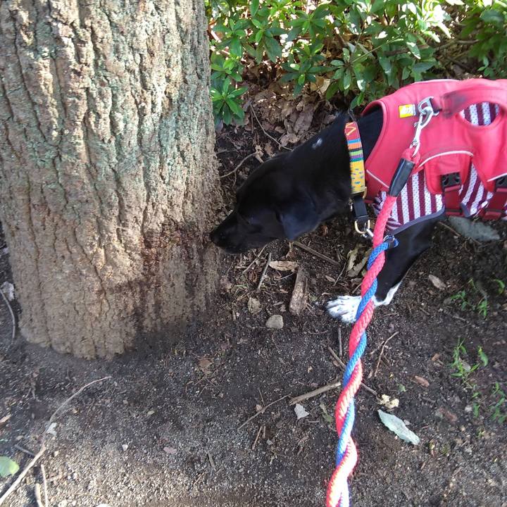 A3efe50a 3ea3 418b 8bf3 b331f341ca1a 1596325398851