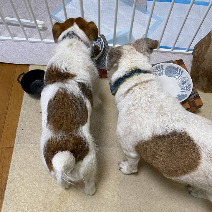 A3f00f51 9250 4406 86f3 89110f7dc023 1711234055066