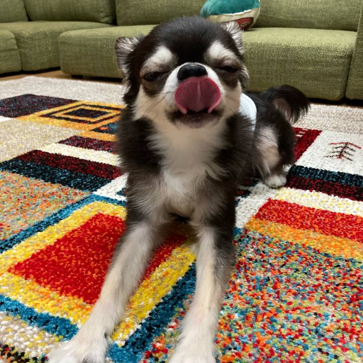 A3f01ad9 0f8c 4ed4 bfca 945d6b1a8e98 1683388117760