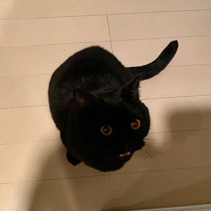 A3f02694 ba25 454b b7d3 00e596745b2f 1703677535772