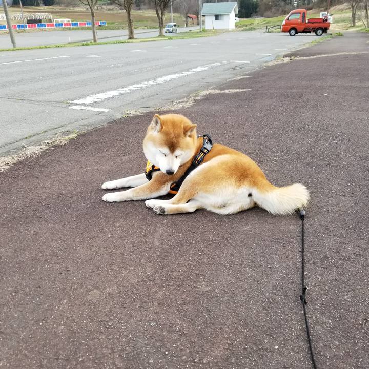 A3f05135 555e 4dd5 8763 b35c625a08d9 1617692953577