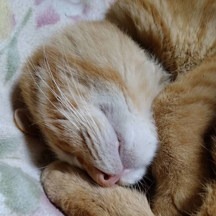 A3f064bd a544 4d37 8491 dda677ced630 1678628612629