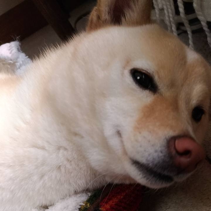 A3f072c5 762e 4b0c 8c53 b1ff9fd93457 1553999378047