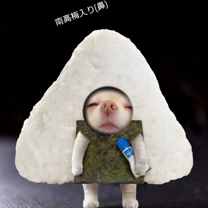 A3f08b01 dec7 4563 a941 d8b1e4c18acf 1731538060548