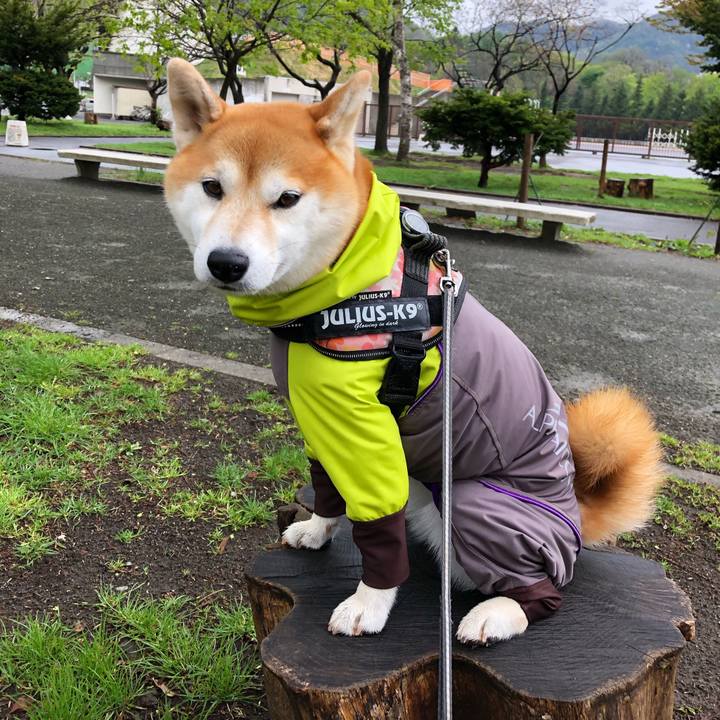 A3f09792 8b81 411d b3dc 04cfe780e53f 1557189757982