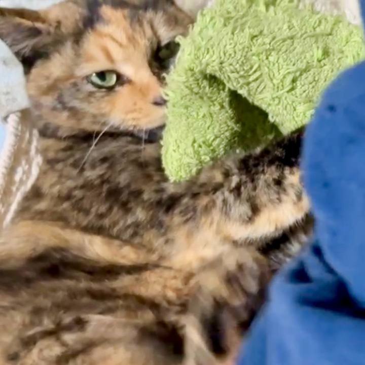 A3f0a101 b948 4830 be59 176fc2df77df 1764502547003