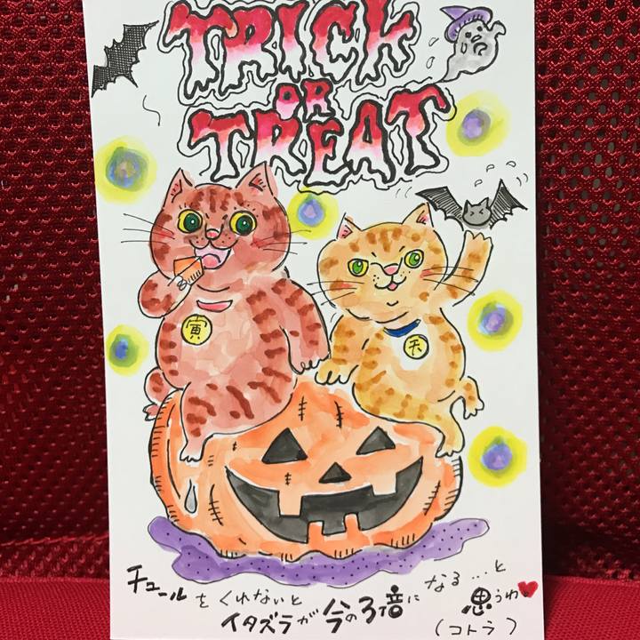 A3f0cb1d 692a 43d7 a2e0 cf448c8effa5 1540986512256