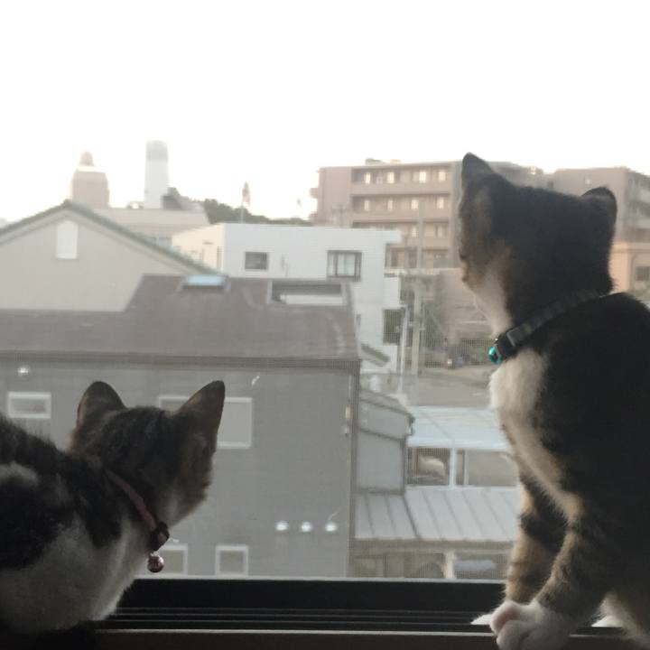 A3f0deaf e48b 46da ab15 d37c239fd030 1654664151502