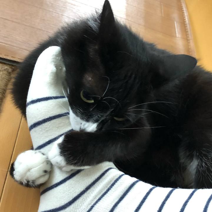 A3f0ee13 1672 425c 96fd 295be6693d4e 1625455841020