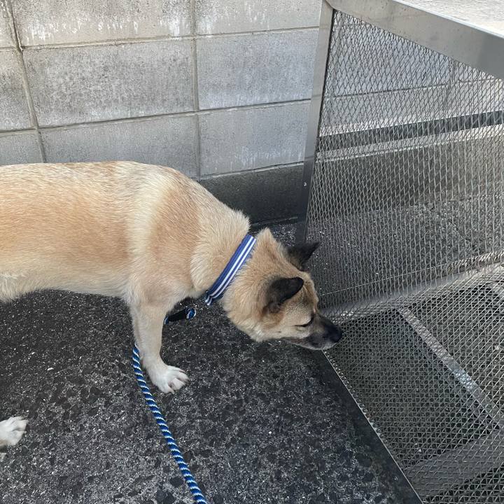 A3f10746 7659 4342 b7b2 7804160e1f99 1660651377062