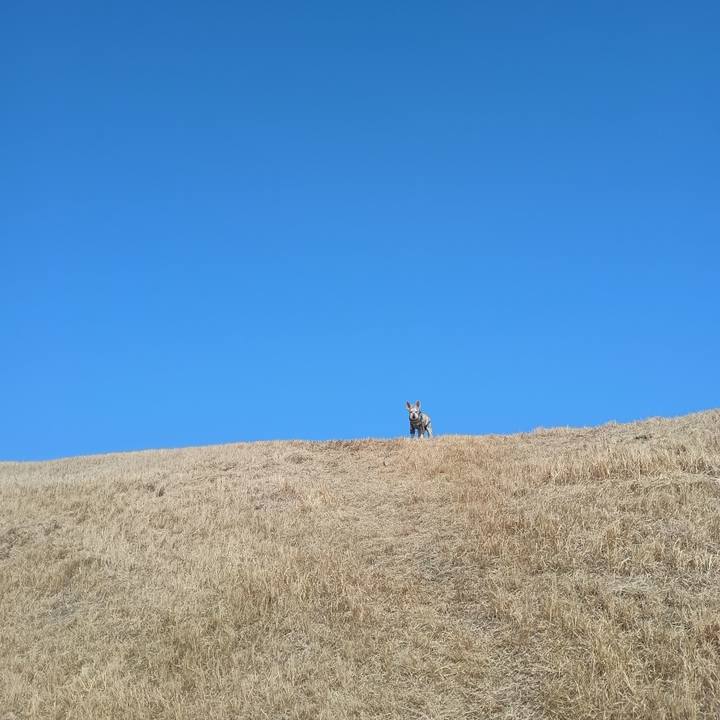 A3f12934 96f0 4208 833b ea4801f4e3ba 1772364618376