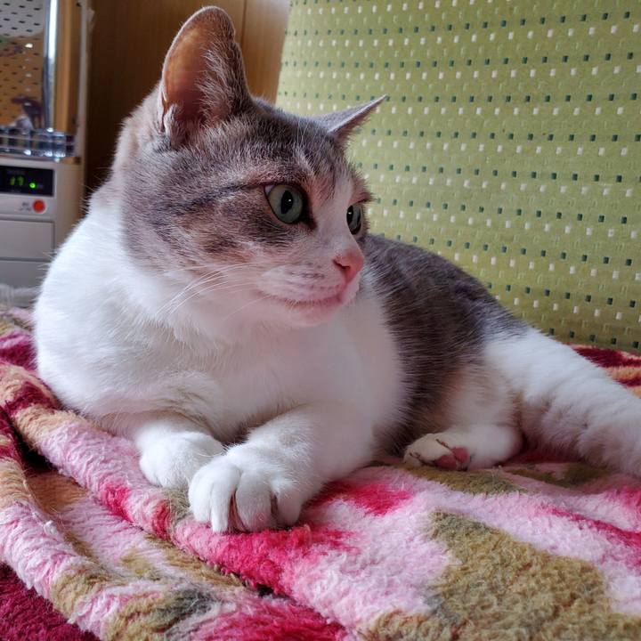 A3f13d33 c206 4b39 bdd1 1231a8f9a526 1716953407020