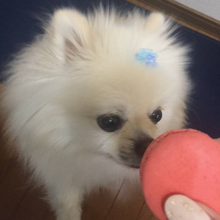 A3f17ab3 3e15 4a62 9cd8 fea9ce7bed51 1549667715218