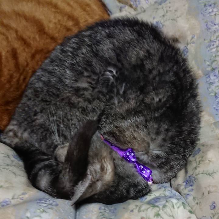 A3f1818b 65dd 4672 800e a2c1e59db7a7 1578745093700