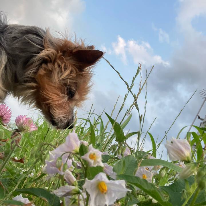 A3f18227 5a0a 408f a697 da934b7cca5d 1690531854768