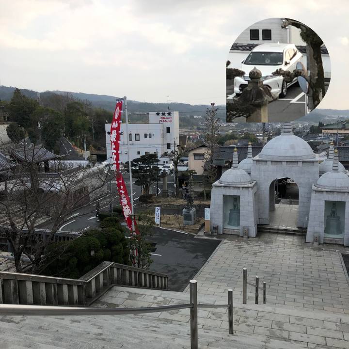 A3f1b007 cdab 4068 84d3 7bd161bc0c4a 1552386272746