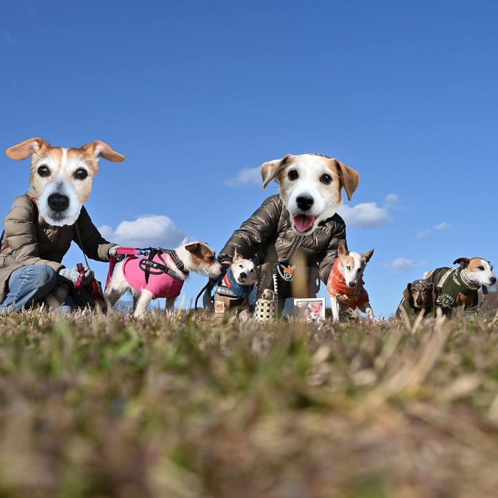 A3f23133 7d55 4c69 9749 f534ef81ee54 1769439458223