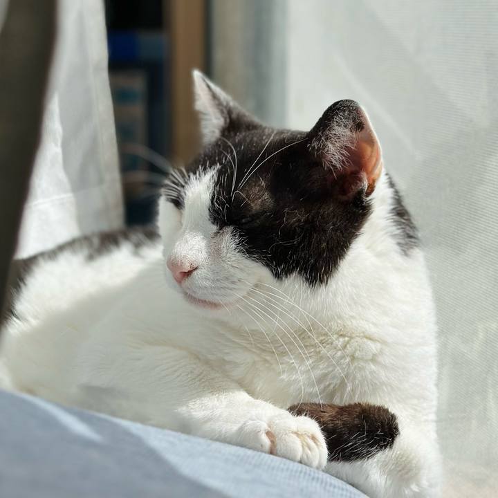 A3f24b5b ad06 4a16 a488 1a5b76a26756 1718249718442